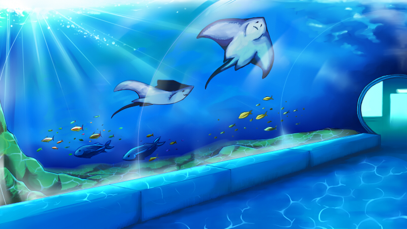 寝子島マリンパラダイス