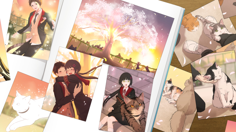 【アルバム】未来樹とふたりと猫たちと