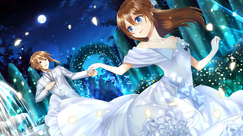 シンデレラのための夜に