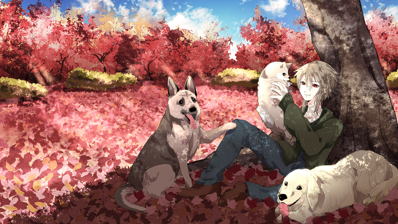 紅葉の頃、犬達と