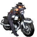 モーターヘッド・イン・スタイル