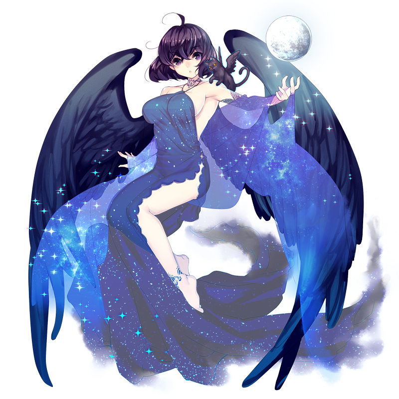 【悪魔】夜空を纏う堕天使