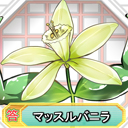 【星幽塔】マッスルバニラ