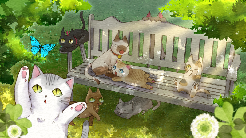 猫安穏