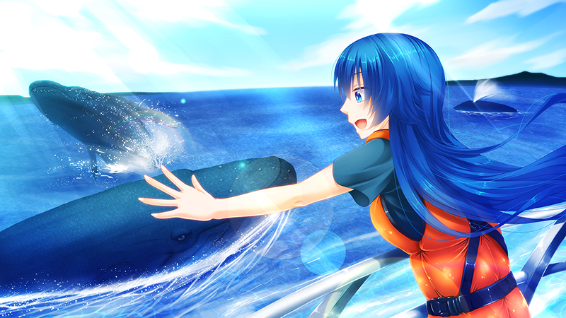 七夕キャンペーンイラスト・鯨だ！