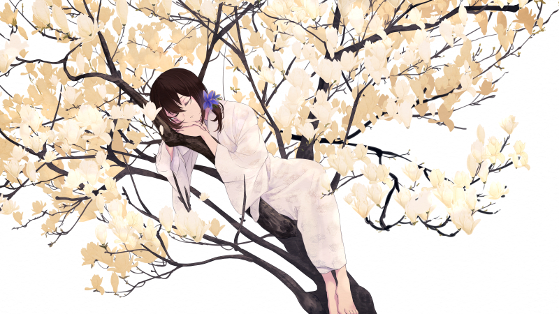 【白】白木蓮と眠れる守り人