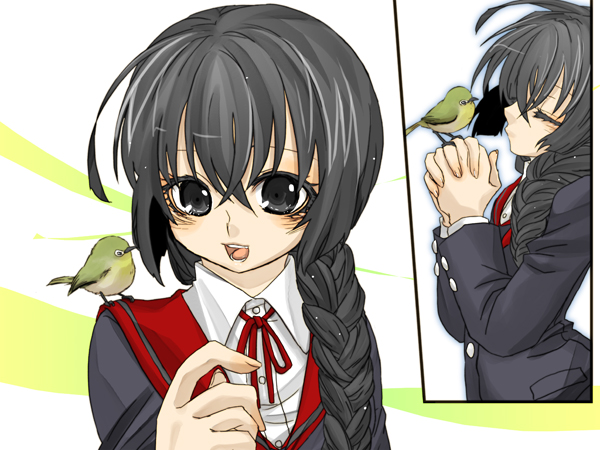 鳥の囀り