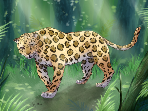 ろっこんイラスト