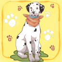 ダルメシアンのロッキー