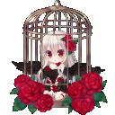 【夜の小鳥】籠に囚われて