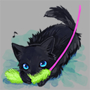 仔猫