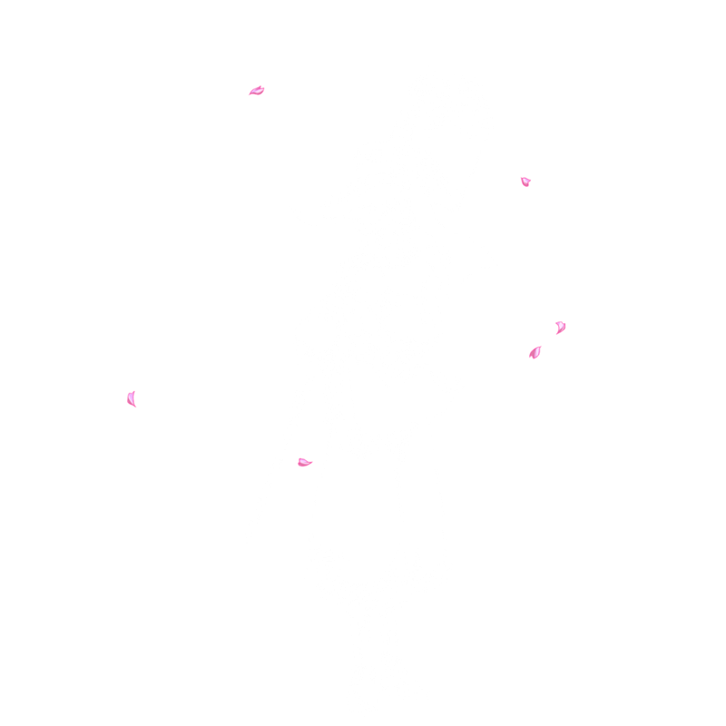 いないいない【プレイバック】【白】