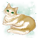 浅葱さんちのハシバミくん