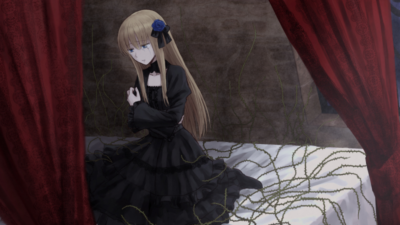 或る少女の心層領域:地下556階層 茨姫の寝室