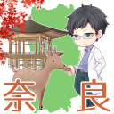 斑鳩 遙