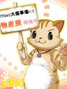 大催事場はこちらですにゃ