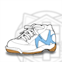 寝子島中学校の体育館シューズ