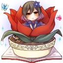 浅葱 ききょう