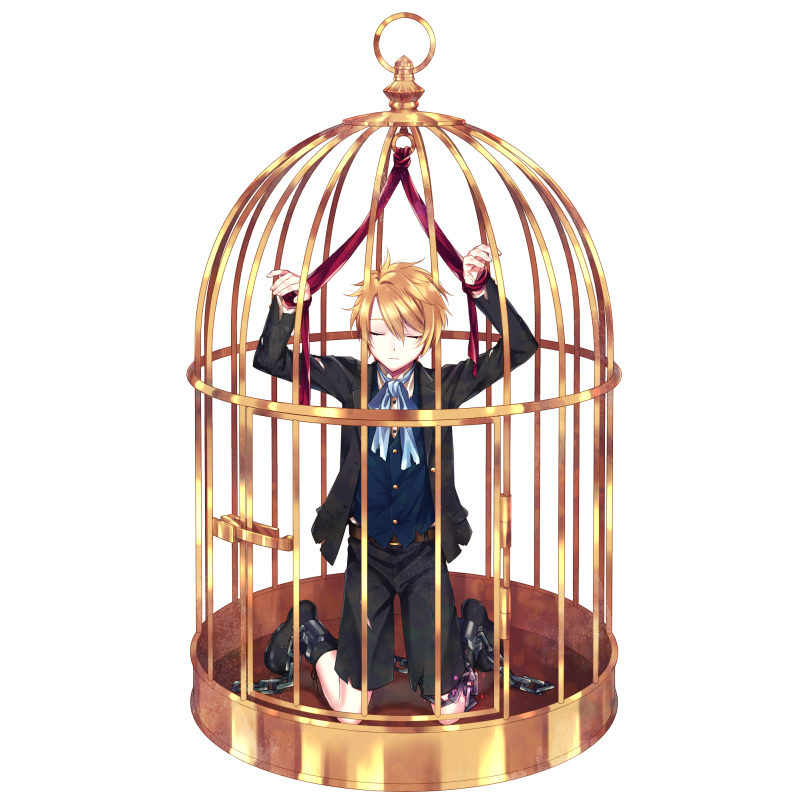 Marionnette dans une cage【ダメージ