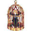 Marionnette dans une cage【ダメージ