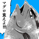 黒 マグロ