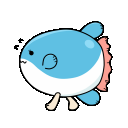 マンボウくんだよぉ～