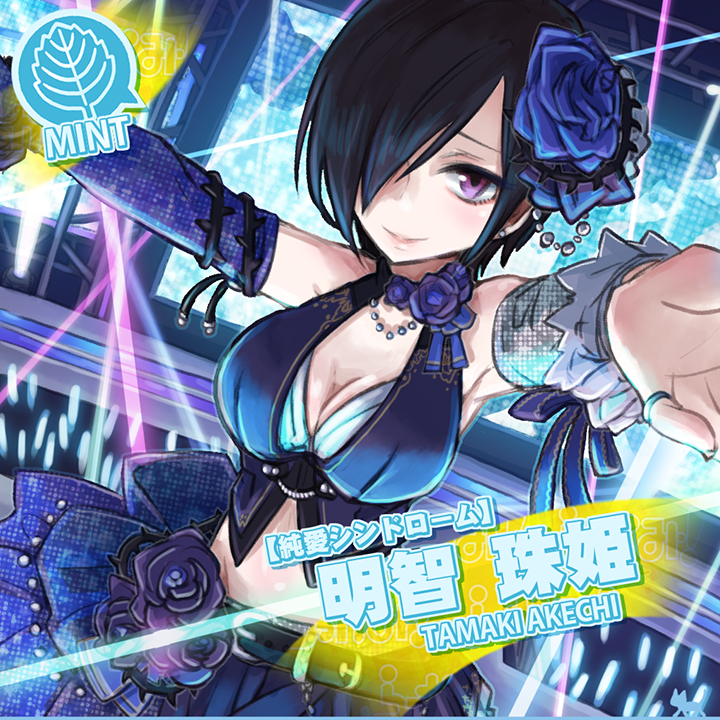 ＜拡大版＞【ネコマス】明智 珠姫