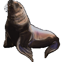 【Ｘイラスト】北斗