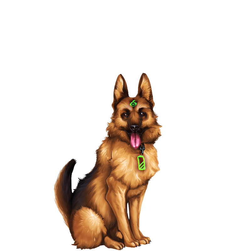 ゲルマン・セパード（大型化）