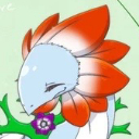 あねもね